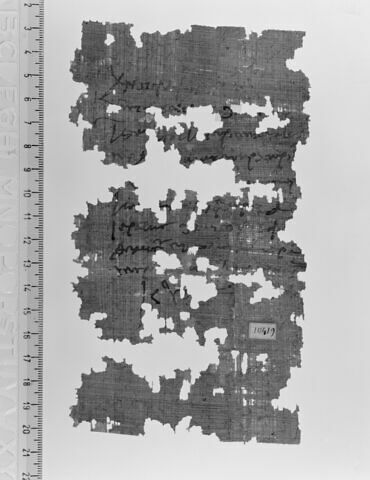 papyrus, image 1/1
