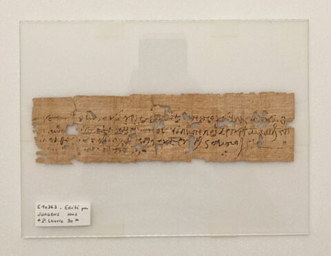 papyrus, image 2/2