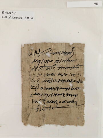 papyrus, image 2/2