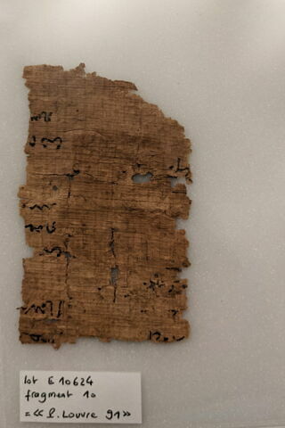 papyrus, image 1/1