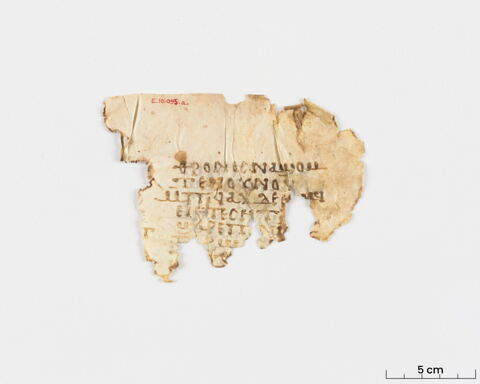 feuillet de codex ; fragment, image 3/6