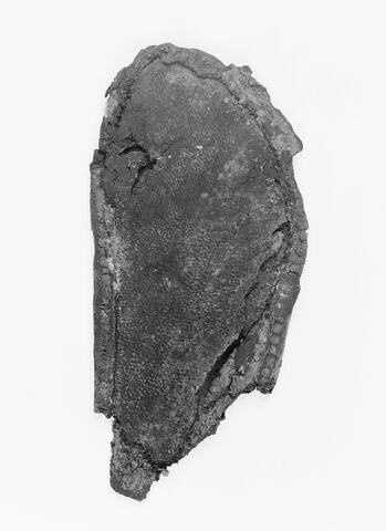 chaussure ; fragment, image 2/2