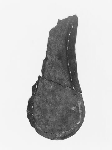 mule ; fragment, image 2/3