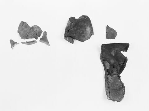 mule ; fragments, image 2/2