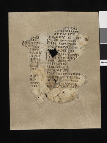 feuillet de codex ; fragments, image 5/8