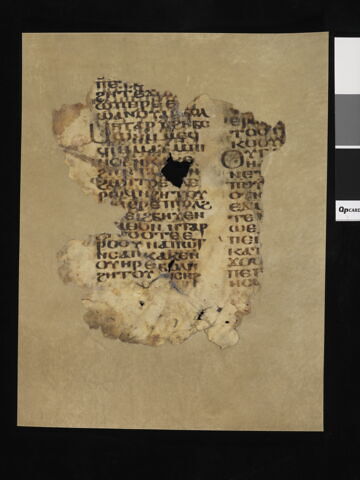 feuillet de codex ; fragments, image 6/8