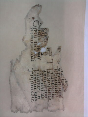 feuillet de codex ; fragment, image 3/5