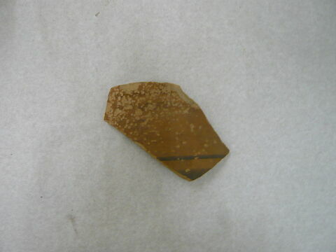 coupe ; fragment, image 1/1