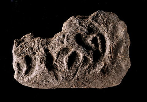 bouchon d'amphore, image 1/3