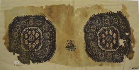 capuche ; fragment, image 2/3