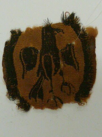 orbiculus ; fragment, image 2/3