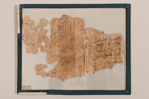 papyrus, image 2/2