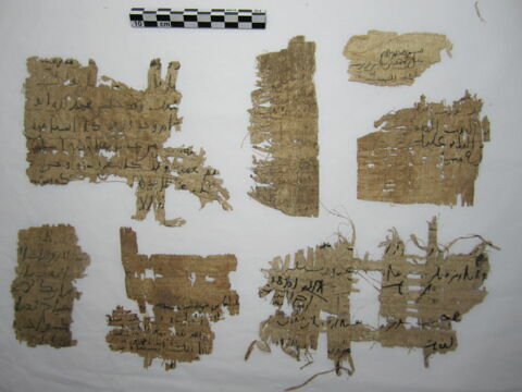 papyrus