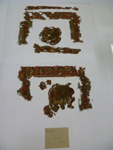 clavus ; orbiculus ; fragments, image 2/2