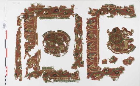 clavus ; orbiculus ; fragments