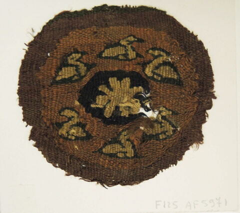 orbiculus ; fragment, image 2/2