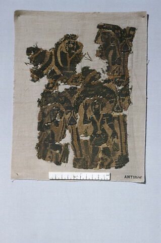 plastron de tunique ; fragment, image 2/4