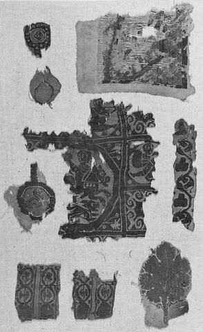 clavus ; fragment, image 2/3