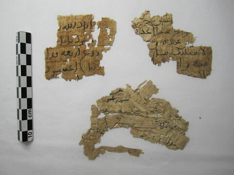 papyrus, image 1/1