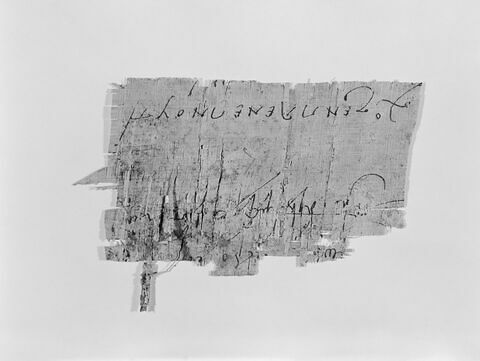 papyrus, image 1/1