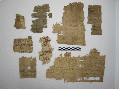 papyrus, image 1/1