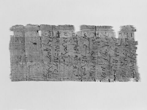 papyrus ; fragment, image 1/2