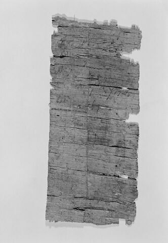 papyrus ; fragment, image 2/2