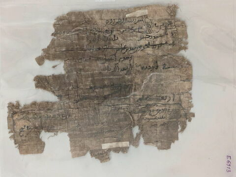 papyrus, image 4/6