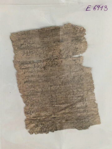 papyrus, image 5/6