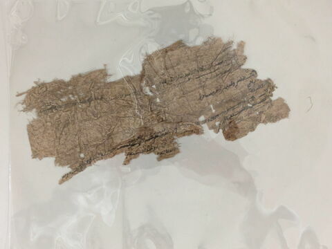 papyrus, image 6/6