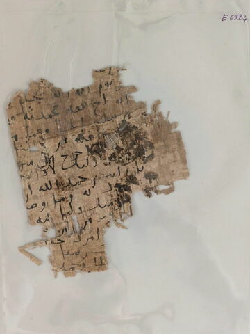 papyrus, image 5/7