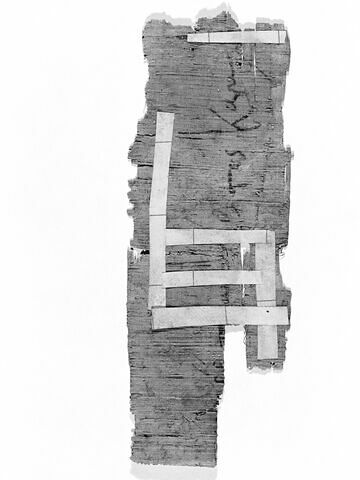 papyrus, image 2/2