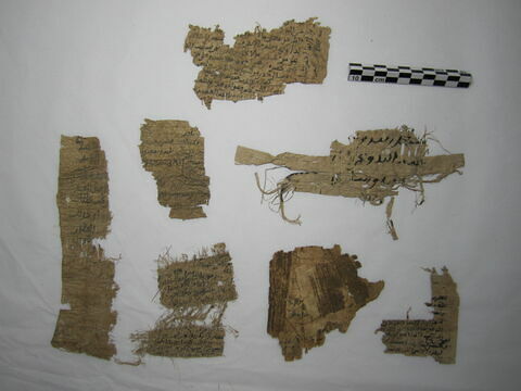 papyrus, image 1/8