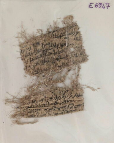 papyrus, image 4/8