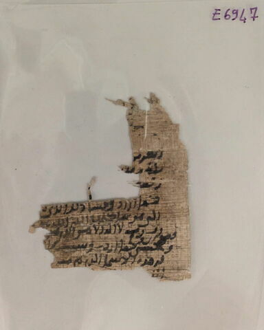 papyrus, image 5/8