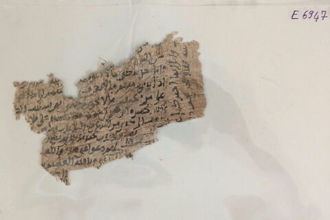 papyrus, image 6/8