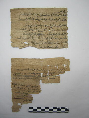 papyrus, image 1/4