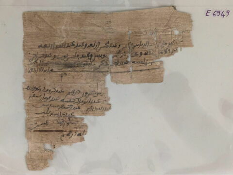 papyrus, image 3/4