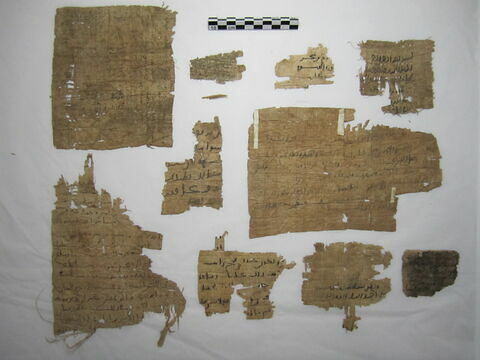 papyrus, image 1/11