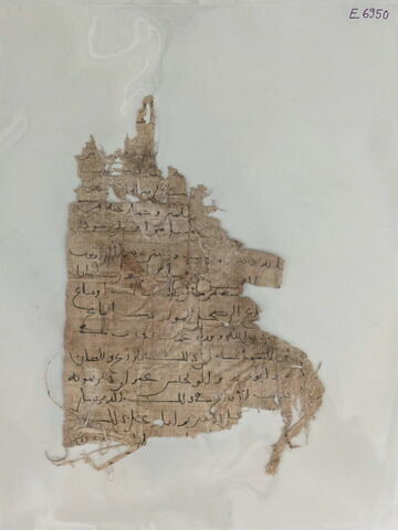 papyrus, image 5/11