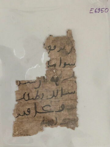 papyrus, image 8/11