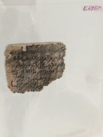 papyrus, image 10/11