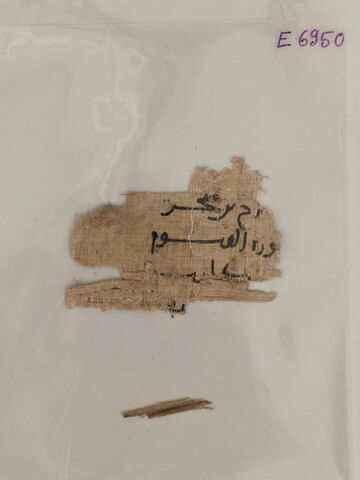 papyrus, image 11/11