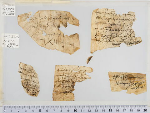 parchemin ; fragment, image 1/1