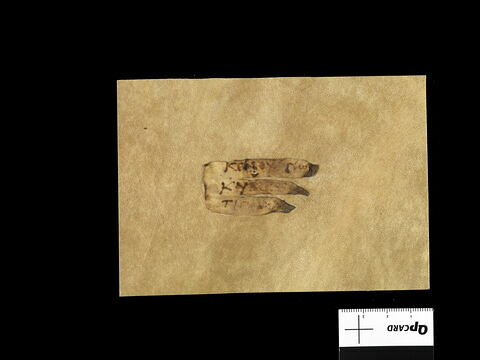 parchemin ; fragment, image 1/2