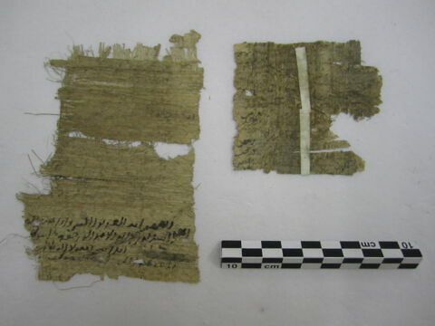 papyrus, image 1/1