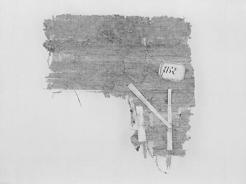 papyrus documentaire, image 2/2