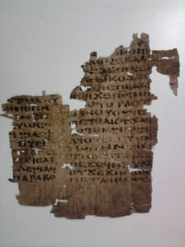 papyrus, image 2/3