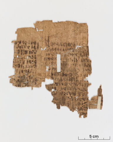 papyrus littéraire, image 2/6