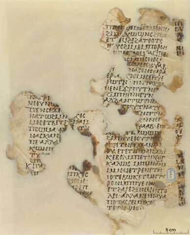 feuillet de codex ; fragment, image 2/6